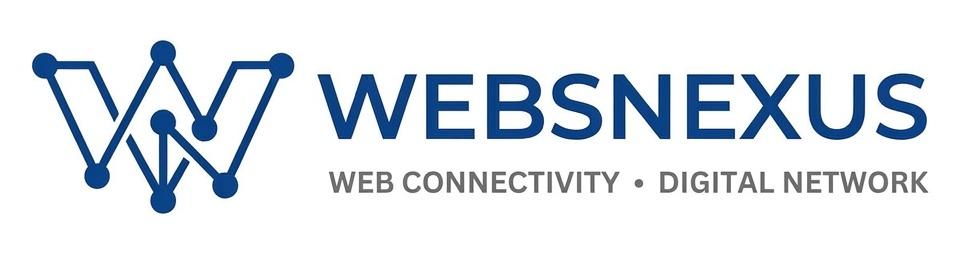 WebsNexus — Web Connectivity · Digital Network
